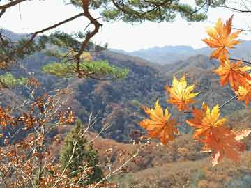 最近上海昨日新增本土45例（上海新增病例）